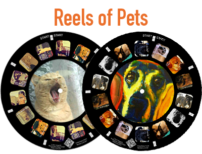 Perfect Pet Photos on a RetroViewer