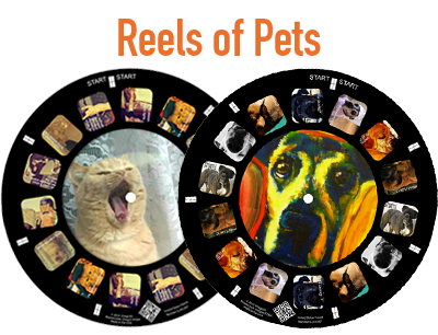 A custom reel makes a perfect keepsake of your favorite pet photos